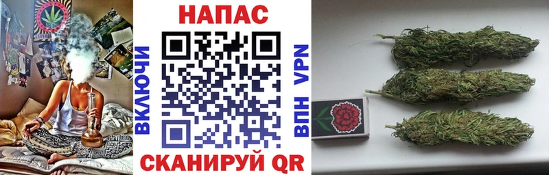 Бошки Шишки семена  Ивдель 